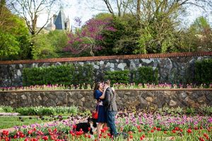 wigglebutt-wanderlust-biltmore-estates-walled-garden-asheville-north-carolina-magnus-proposal-happy-dog-friendly-engagement-meghan-rolfe-photography