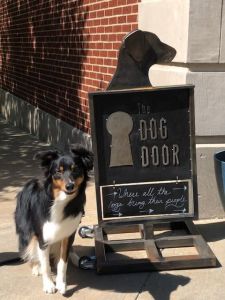 wigglebutt-wanderlust-magnus-the-dog-door-ashville-north-carolina-dog-welcome-center-where-all-the-dogs-bring-their-people