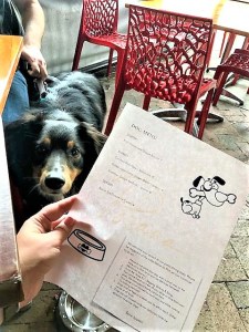wigglebutt-wanderlust-posana-restaurant-downtown-asheville-north-carolina-dog-friendly-dog-menu-outdoor-patio-magnus